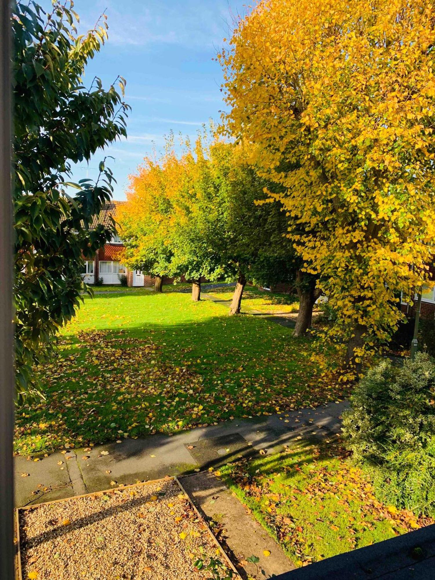 Spacious House, Free Parking & Patio Garden Farnham  Zewnętrze zdjęcie